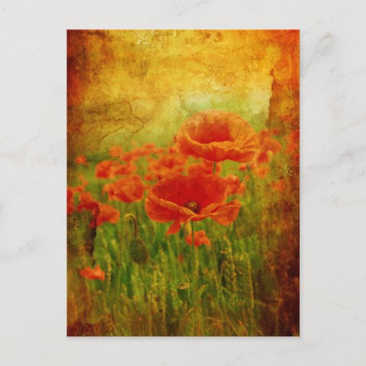Rode papaver  briefkaart (Voorkant)