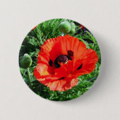 Rode papaver - Button (Voorkant)