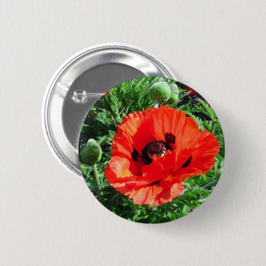 Rode papaver - Button (Voorkant /achterkant)