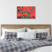 Rode papaver canvas afdruk (Insitu (Slaapkamer))