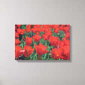 Rode papaver canvas afdruk (Voorkant)