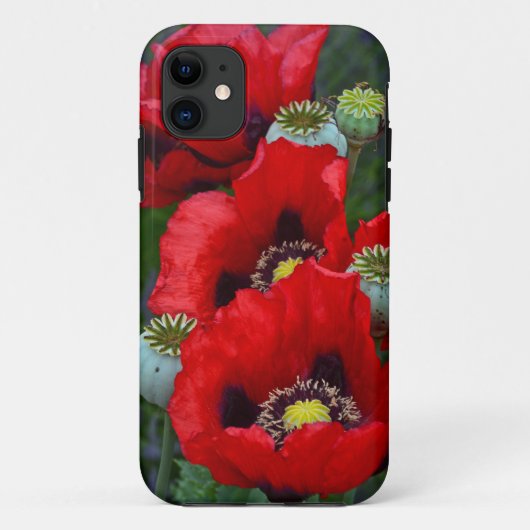 Rode papaver Case-Mate iPhone case (Achterkant)
