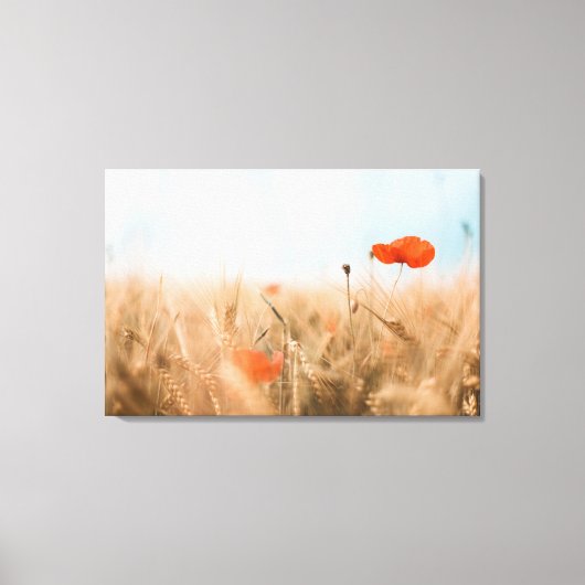 Rode papaver en goudgerst canvas afdruk (Voorkant)