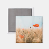 Rode papaver en goudgerst magneet (Voorkant / Achterkant)