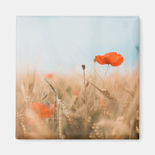 Rode papaver en goudgerst magneet