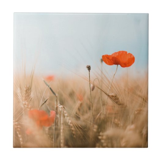 Rode papaver en goudgerst tegeltje (Voorkant)
