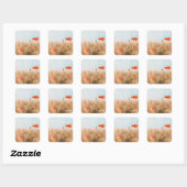Rode papaver en goudgerst vierkante sticker (Vel)