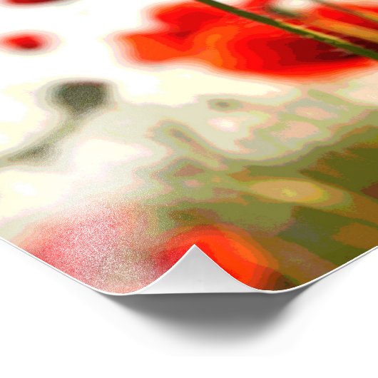 Rode papaver foto afdruk (Hoek)