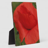 Rode papaver fotoplaat (Zijkant)