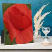 Rode papaver fotoplaat (Zijkant)