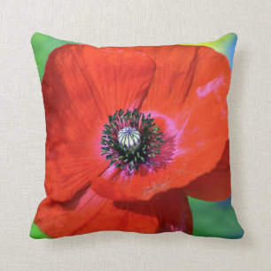 Rode Papaver in de Foto van de Zonneschijn Kussen