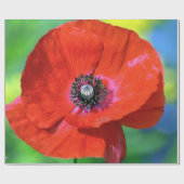 Rode papaver in de Sunshine Foto Cadeaupapier (Vlak)