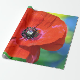 Rode papaver in de Sunshine Foto Cadeaupapier