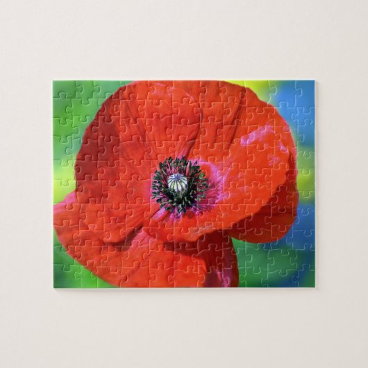 Rode papaver in de Sunshine Foto Legpuzzel (Horizontaal)