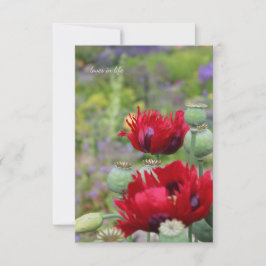Rode papaver in de tuin notitiekaartje