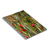 Rode papaver in een wielveldef notitieboek (Rechterzijde)
