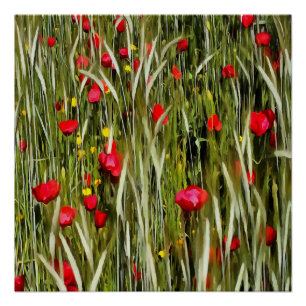Rode papaver in een wielveldef poster