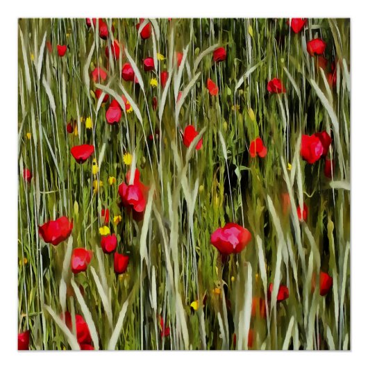 Rode papaver in een wielveldef poster (Voorkant)