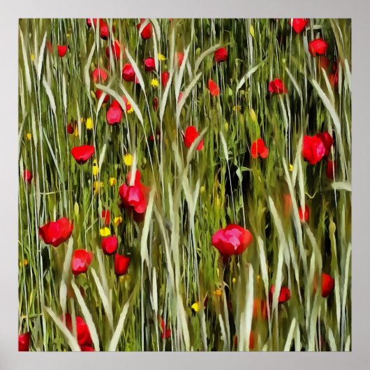 Rode papaver in een wielveldef poster (Voorkant)