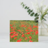 Rode papaver in het veld briefkaart (Staand voorkant)