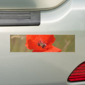 Rode papaver in het veld bumpersticker (Op auto)
