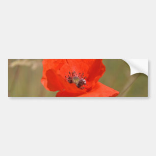 Rode papaver in het veld bumpersticker