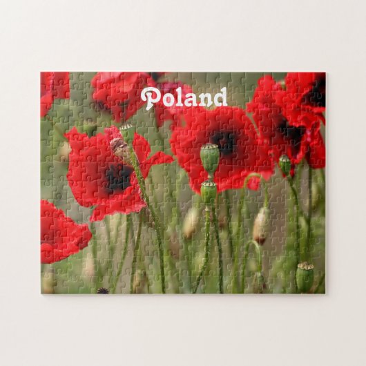 Rode papaver in Polen Legpuzzel (Horizontaal)