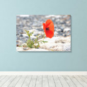 Rode papaver in schilderdoek canvas afdruk (Insitu (Houten vloer))