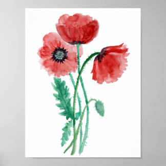 Rode papaver in waterverf poster