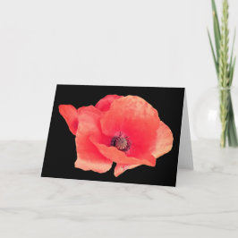 Rode papaver kaart