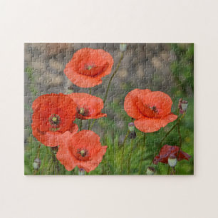 rode papaver legpuzzel