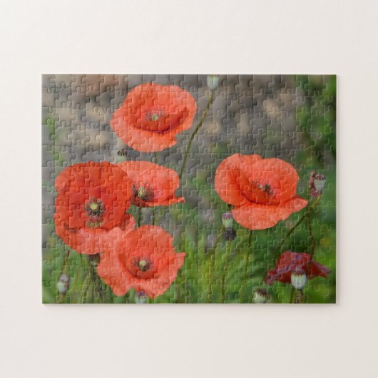 rode papaver legpuzzel (Horizontaal)