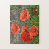 rode papaver legpuzzel (Verticaal)