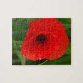 Rode papaver legpuzzel (Horizontaal)