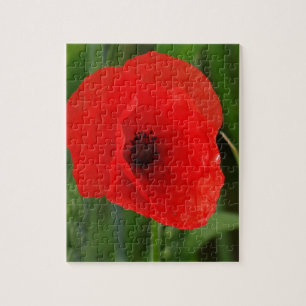 Rode papaver legpuzzel