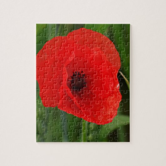 Rode papaver legpuzzel (Verticaal)