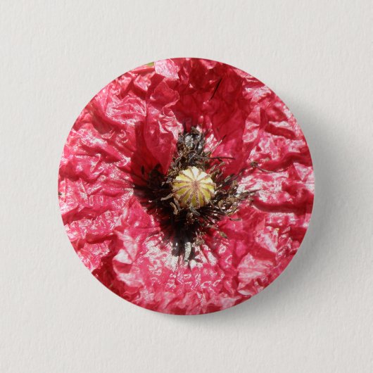 rode papaver Macro-Button Ronde Button 5,7 Cm (Voorkant)