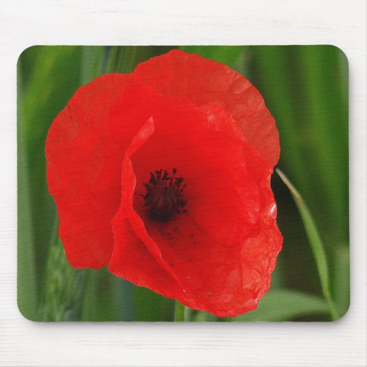 Rode papaver muismat (Voorkant)