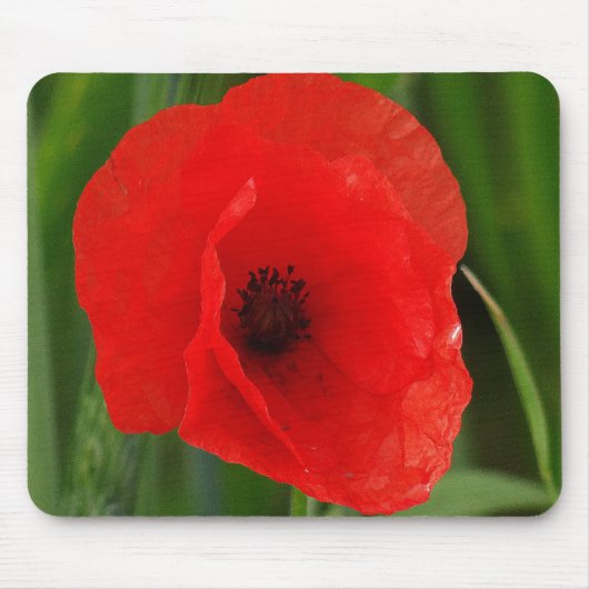 Rode papaver muismat (Voorkant)