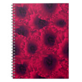 Rode papaver notitieboek (Voorkant)