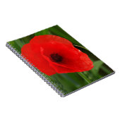 Rode papaver notitieboek (Rechterzijde)