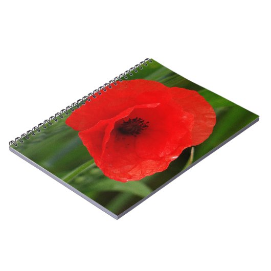 Rode papaver notitieboek (Linkerzijde)