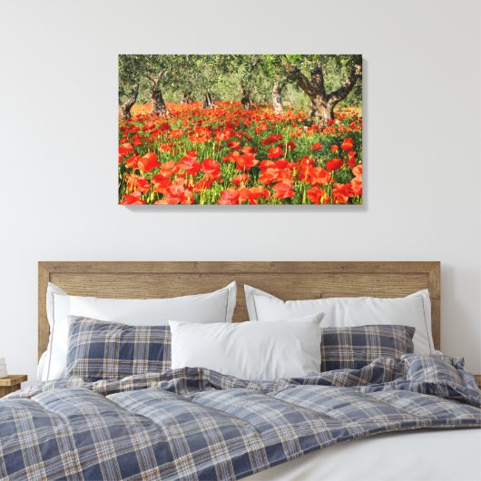 Rode papaver onder oude olijfbomen canvas afdruk (Insitu (Slaapkamer))