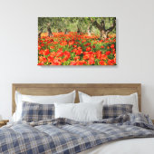 Rode papaver onder oude olijfbomen canvas afdruk (Insitu (Slaapkamer))