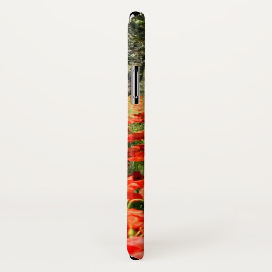 Rode papaver onder oude olijfbomen Case-Mate iPhone case (Achterkant / rechts)