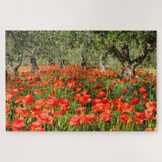 Rode papaver onder oude olijfbomen legpuzzel (Horizontaal)