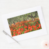 Rode papaver onder oude olijfbomen rechthoekige sticker (Envelop)