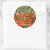 Rode papaver onder oude olijfbomen ronde sticker (Tas)