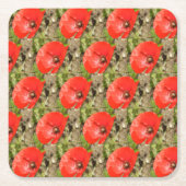 Rode papaver Onderzetters (Voorkant)