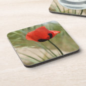 Rode papaver Onderzetters (Linkerzijde)